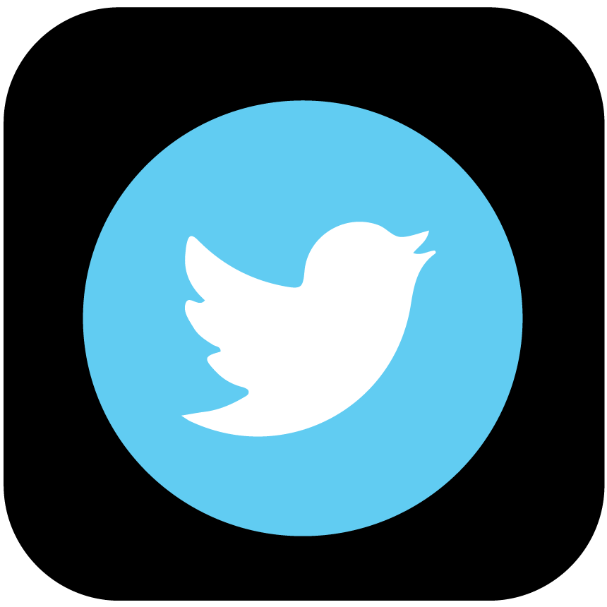 twitter-icon